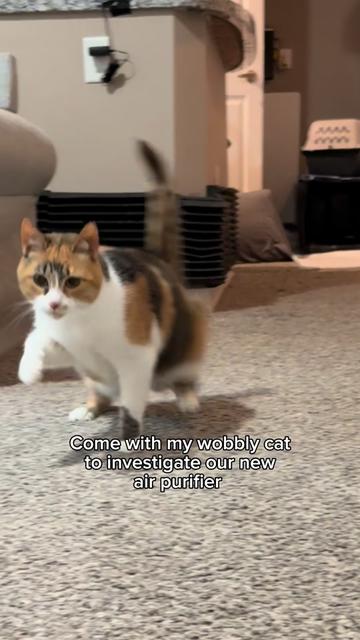 @Ada
