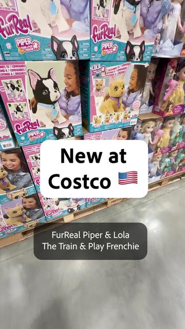 @costcoandy