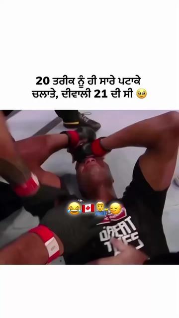 @vehlijanta761