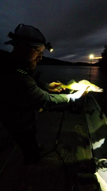 @Dunamis Angling