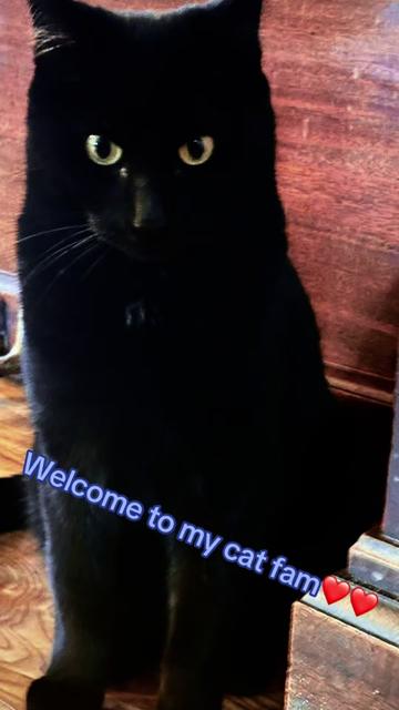 @PurrTayto