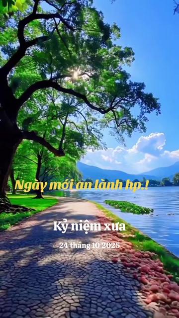 @nguyễn dung