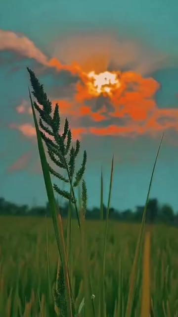 @🕊️.⋆کلمدم کشمیری.⋆👸