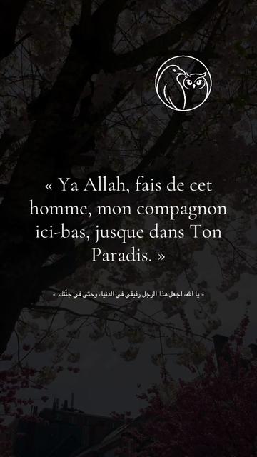 @Jannah