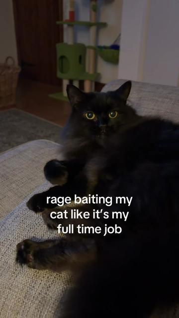 @Holly Larkham
