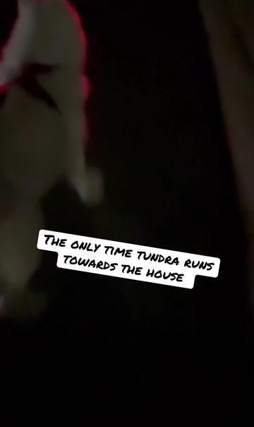 @Tundra