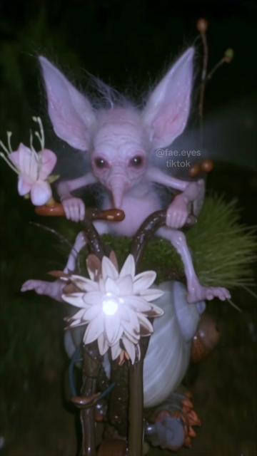 @Fae Nest