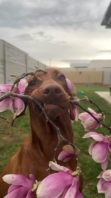 @𝐋𝐮𝐧𝐚