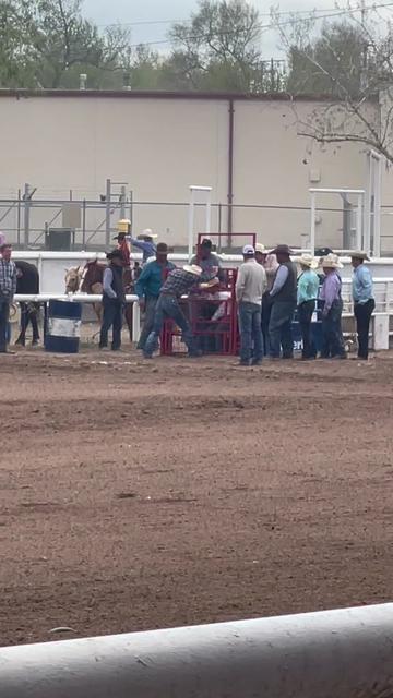 @🐂Haze Reed-Mini Bull Rider🐂