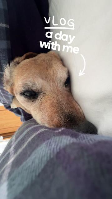 @Lucas The Dog