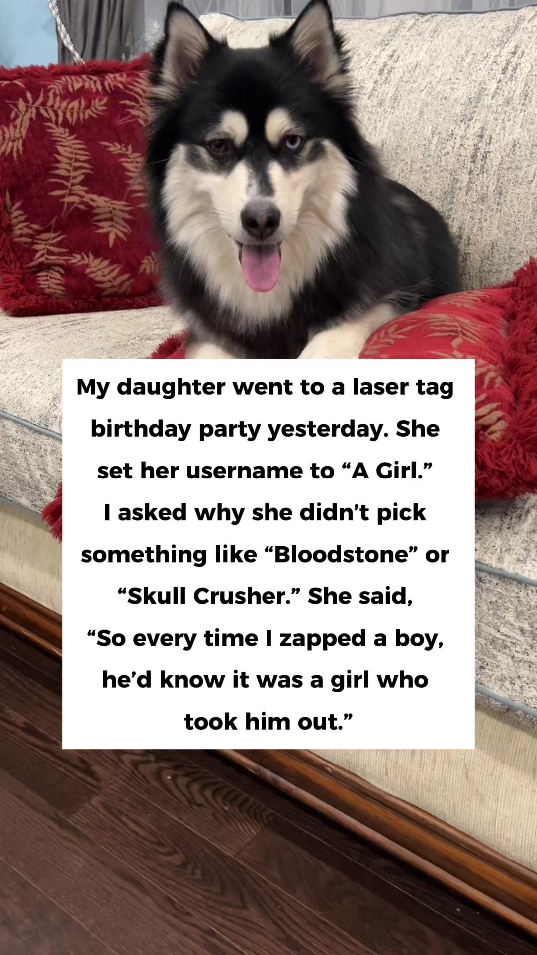 @Zeus the Pomsky🐾