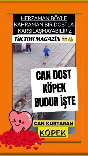 @tik.tok.magazin.