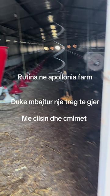 @apollonia farm ✨