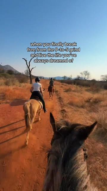 @Hoof & Travel 🐴🌍🐘