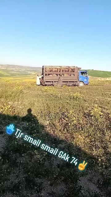@Smail Tranji🫵😎