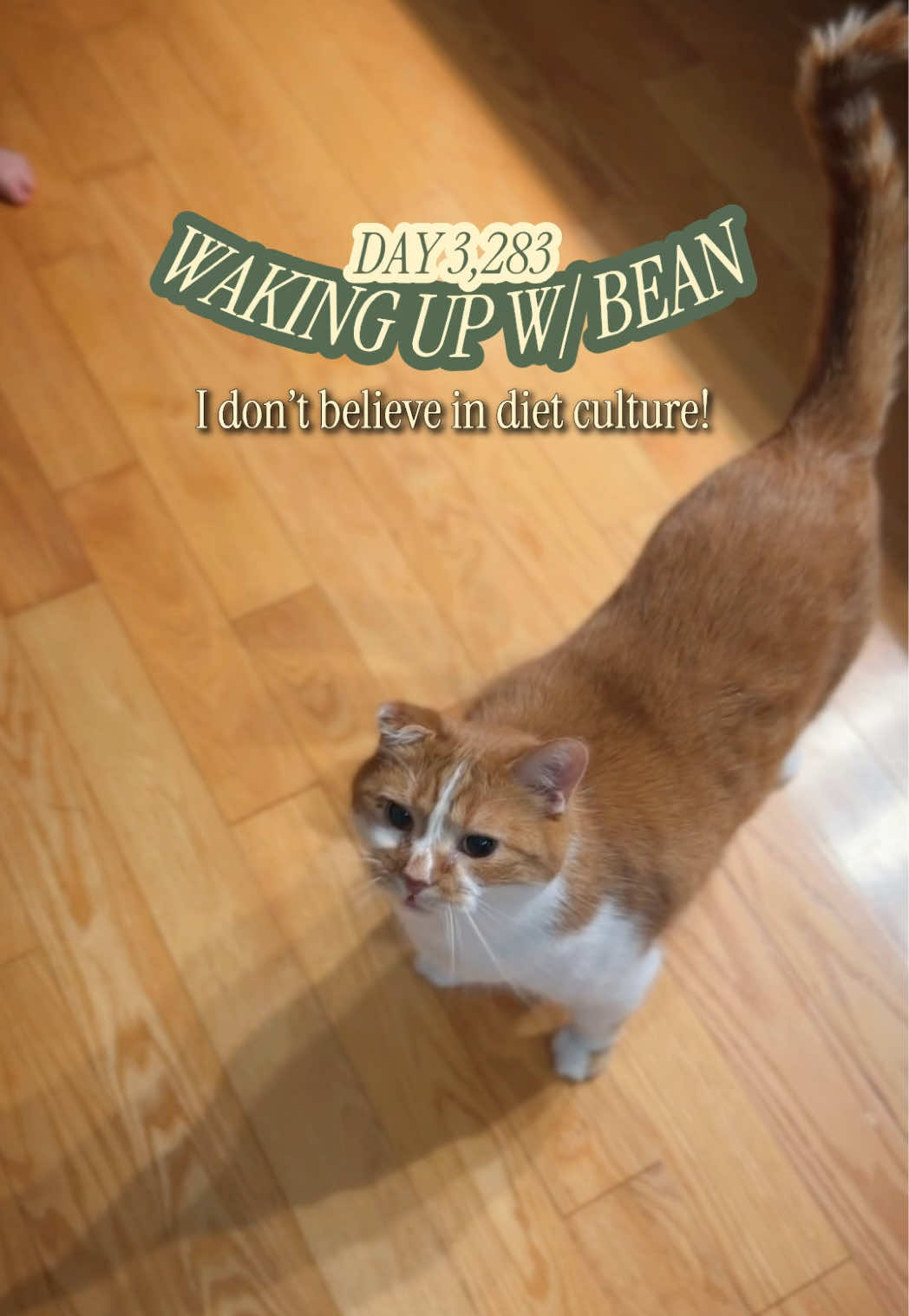 @Beauty and the Bean