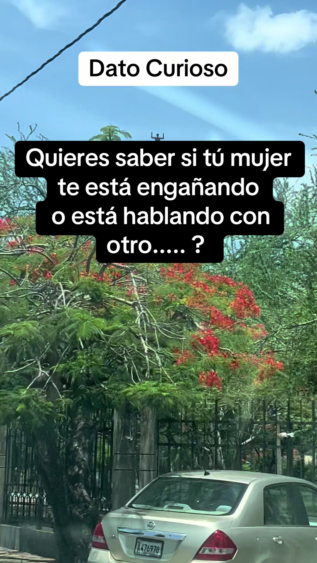 @Datoscuriosos