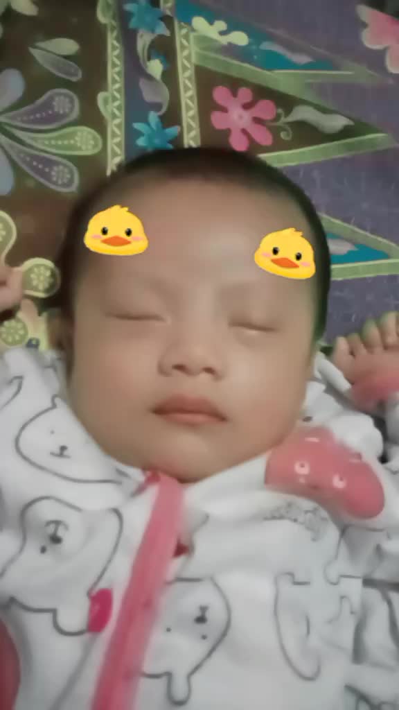 @sintaaa15