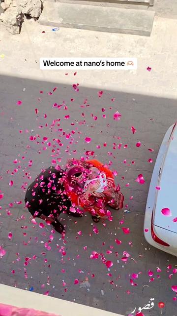 @Dn Laiba Khaliq