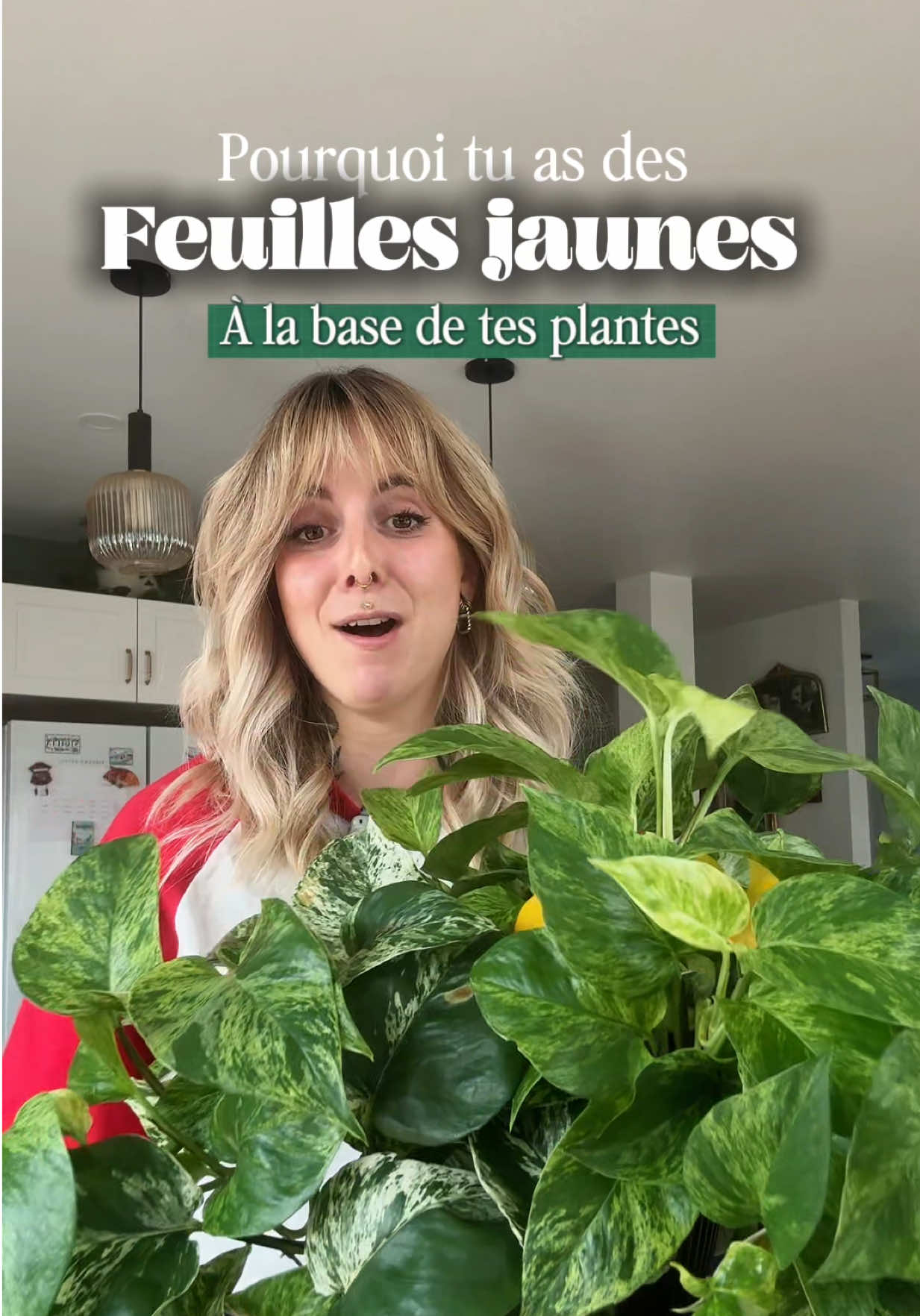 @Laura | Plants & Home decor
