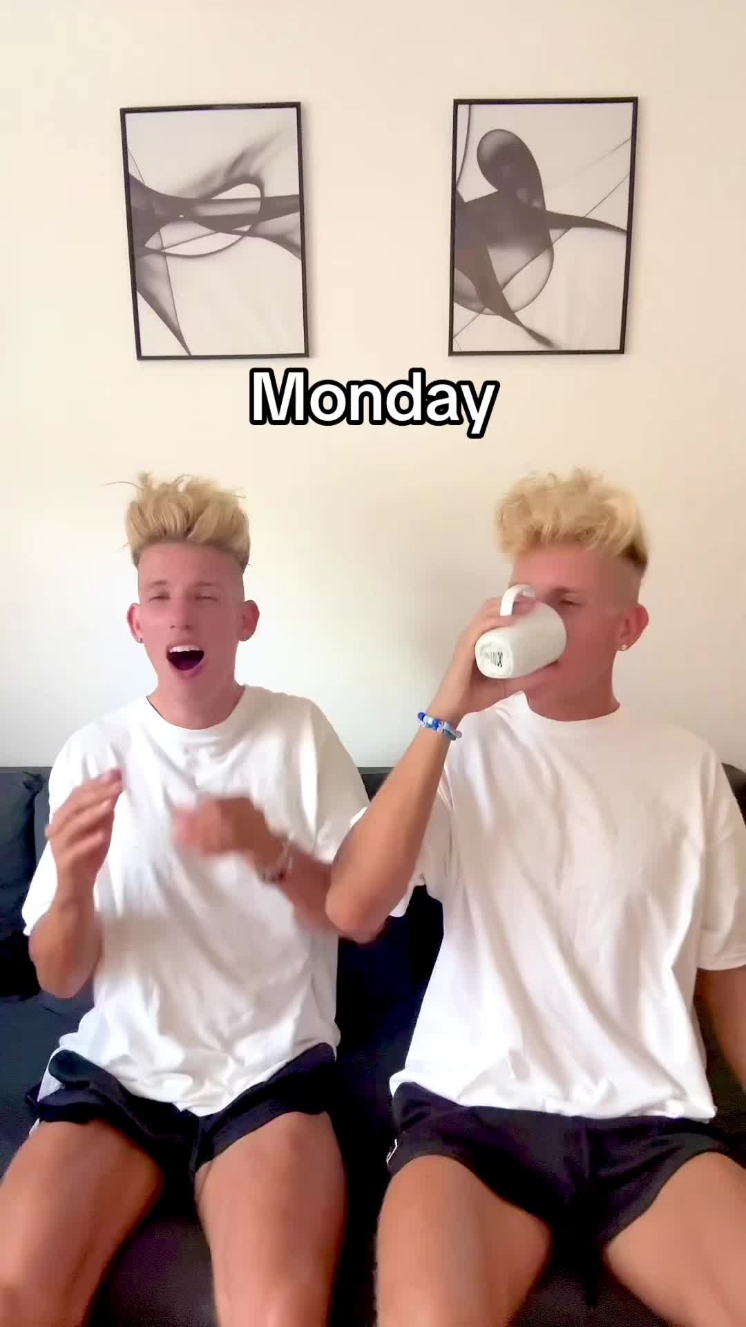 @vorostwins