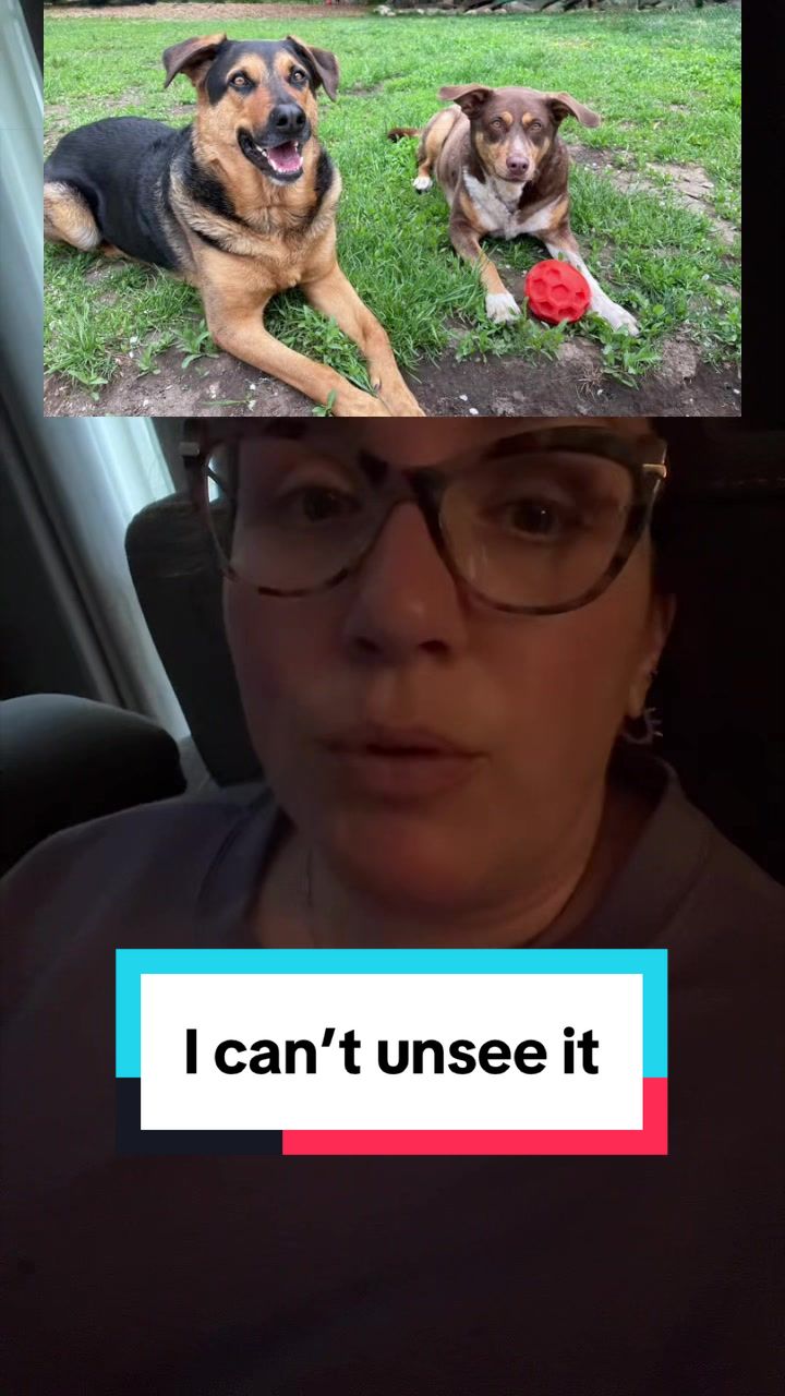 @gvizzle