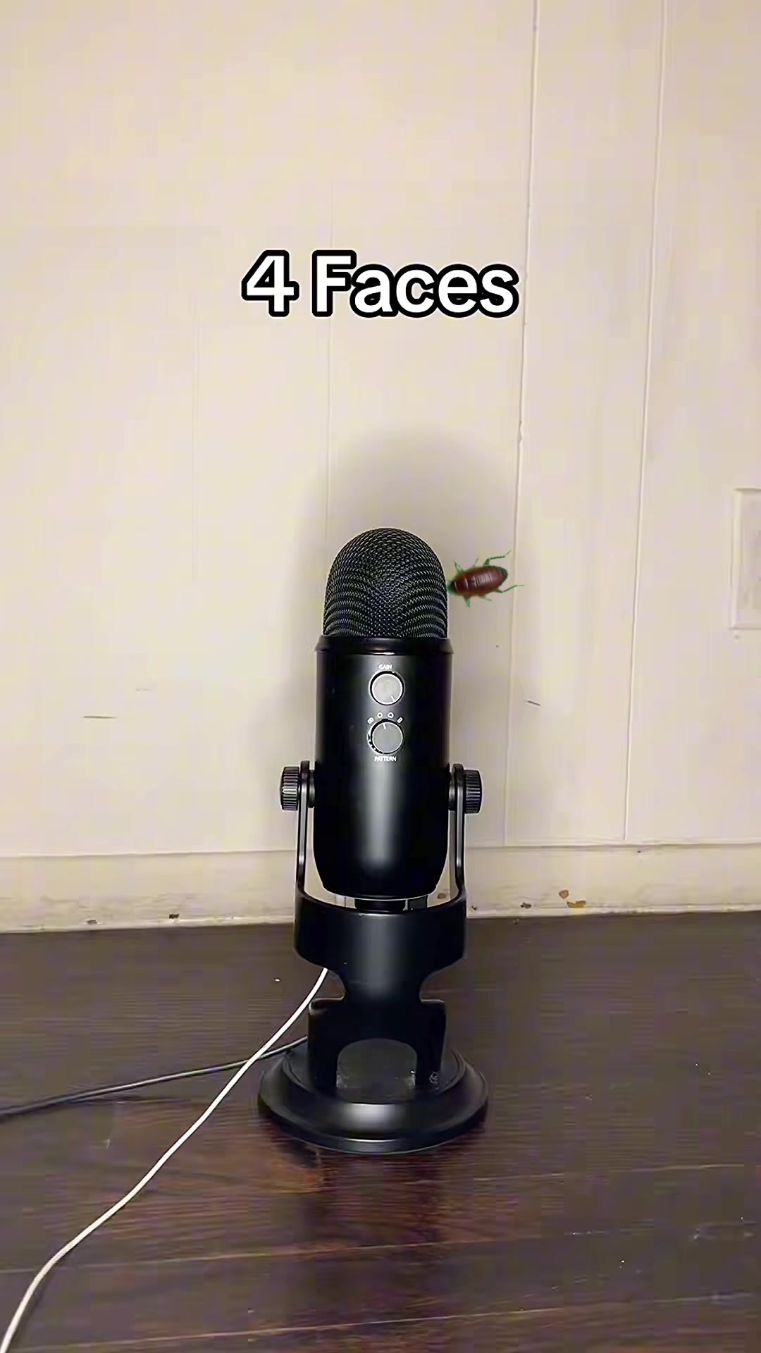 @Marcus ASMR