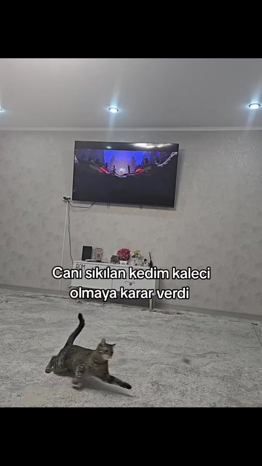 @CrazyBoy