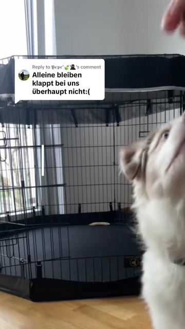 @Nele&Oakley🐶