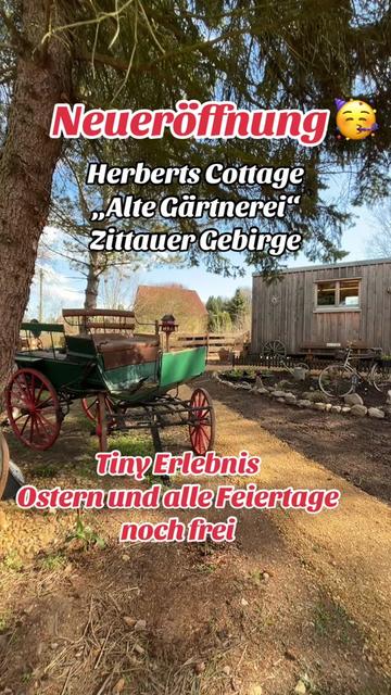 @mandau-fewo.de