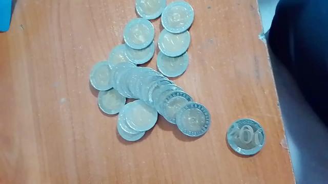 @крыска котик