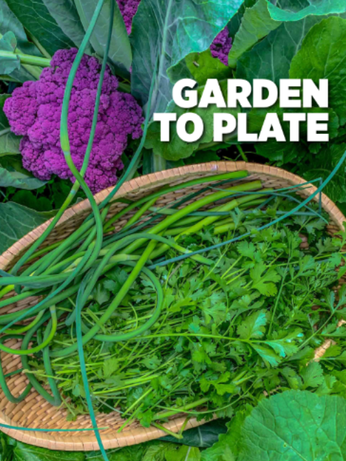 @Planted in the Garden