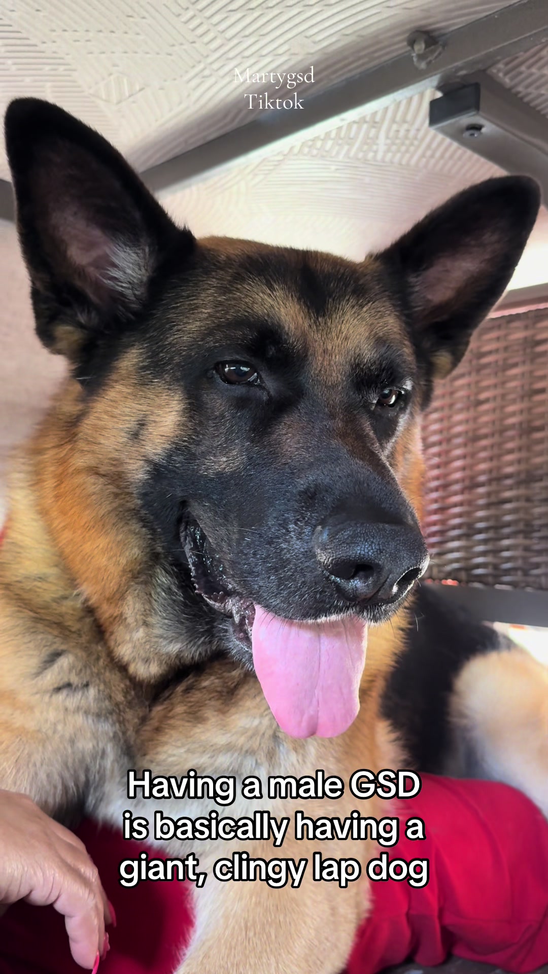 @Martygsd