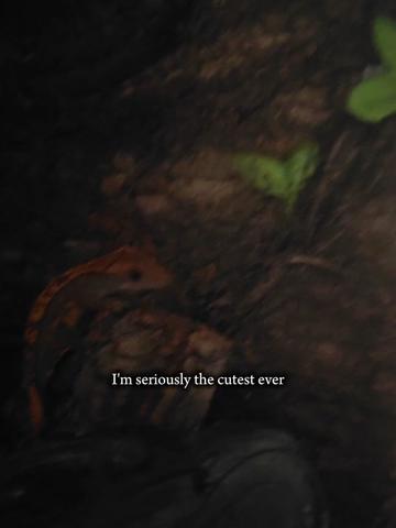 @ 