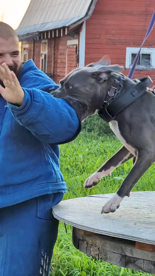 @Kavik.K9