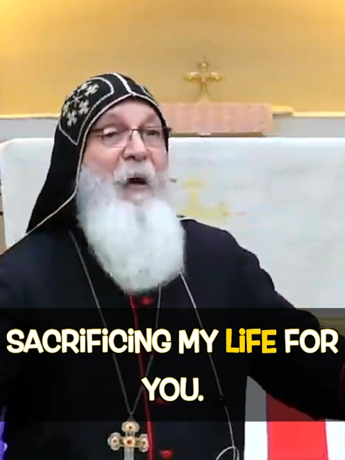@stephverr🇨🇦