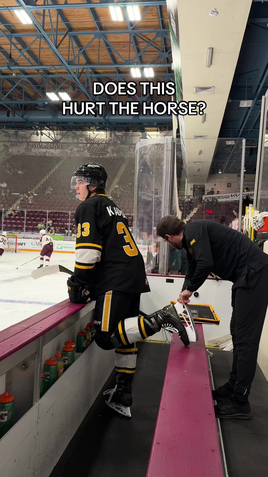 @Sarnia Sting