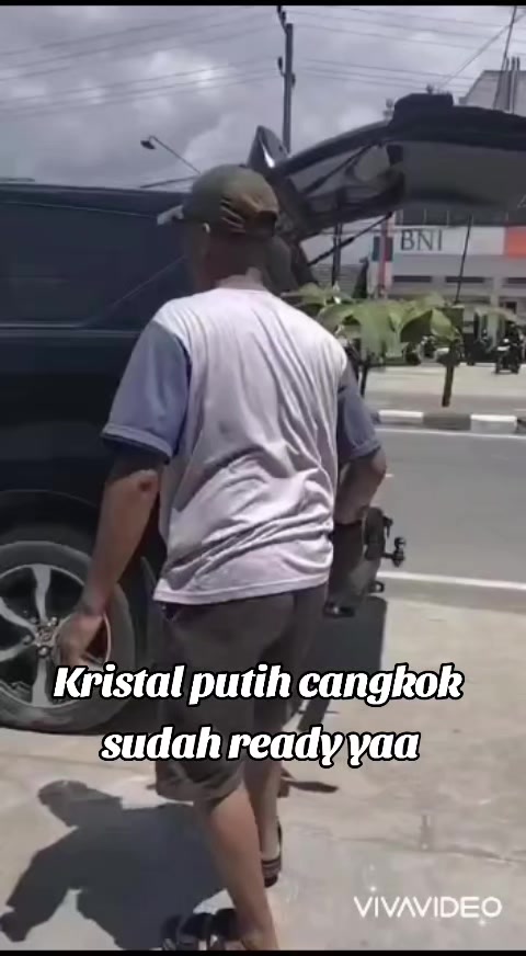 @Bibit khusus samarinda