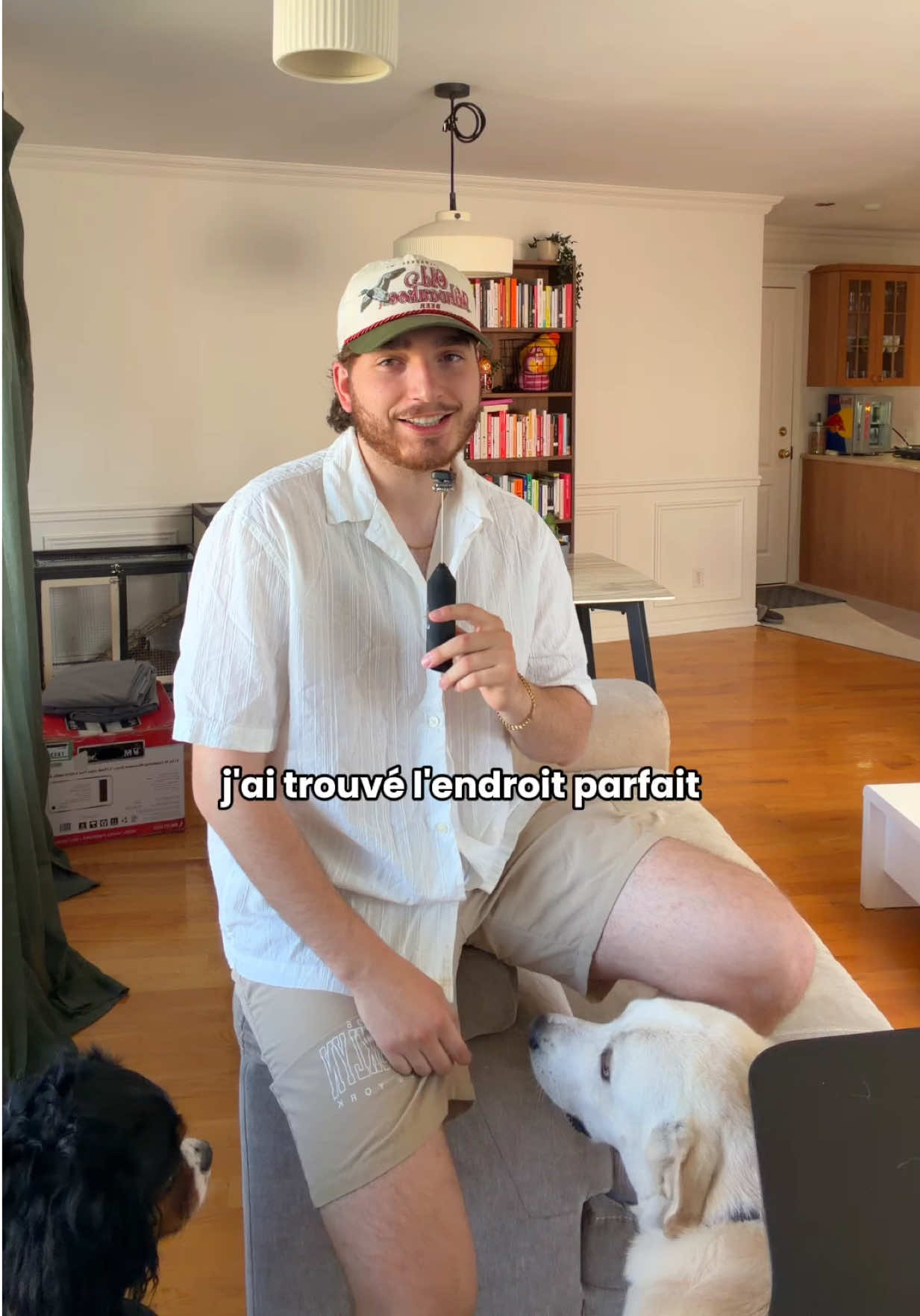 @DAVID BELLEROSE