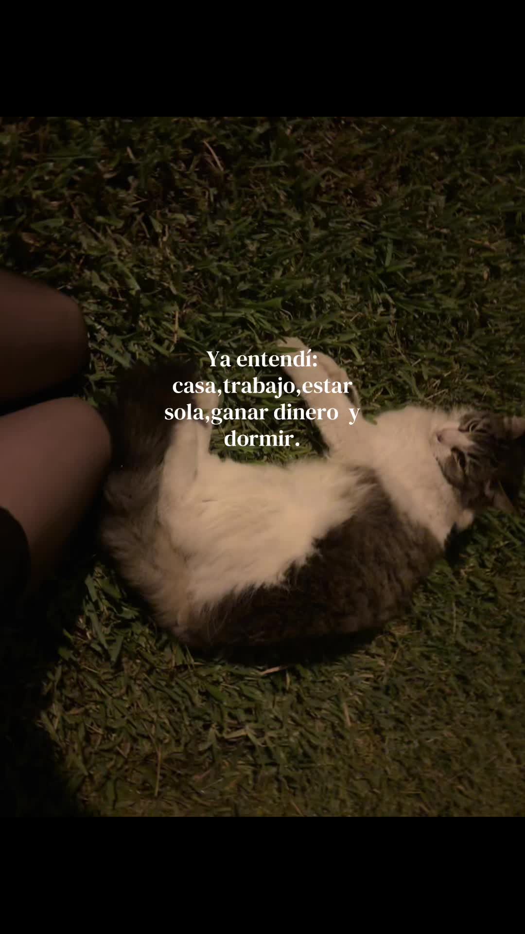 @Cheetos_uwu