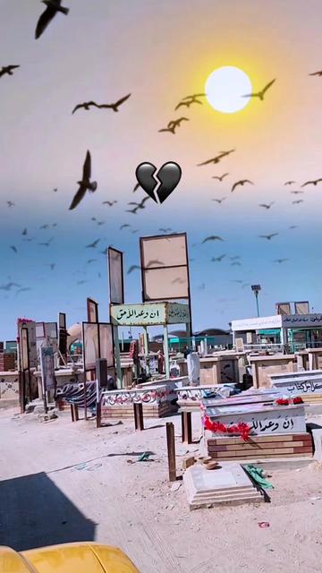@احمد العراقي