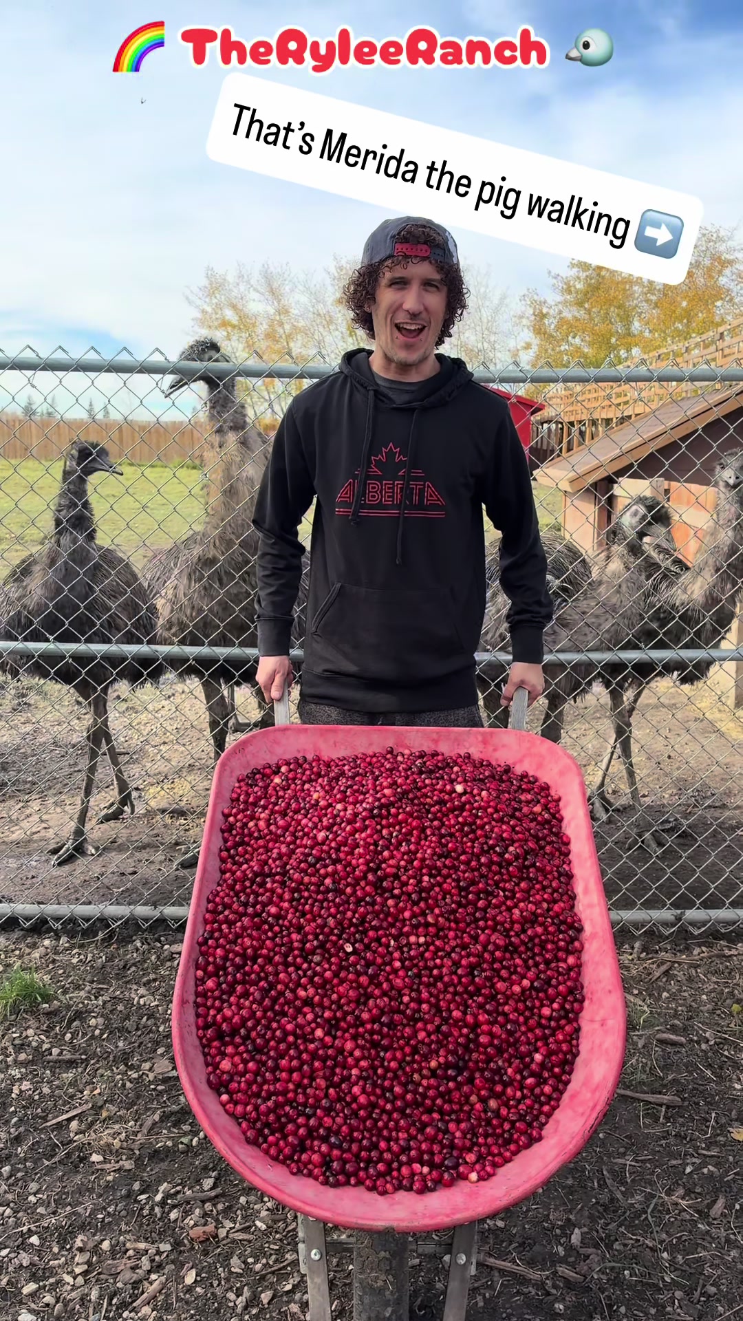 @RyleeRanch