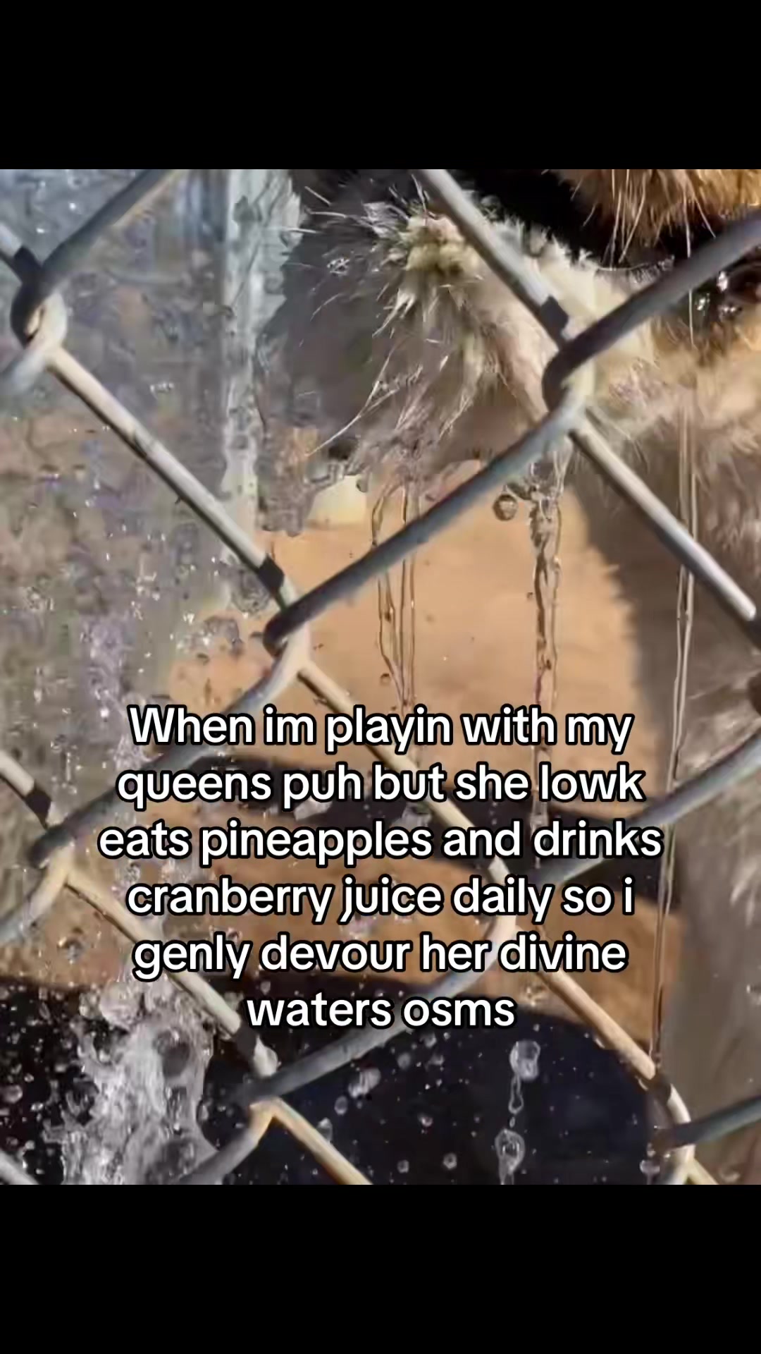 @youngboba7son