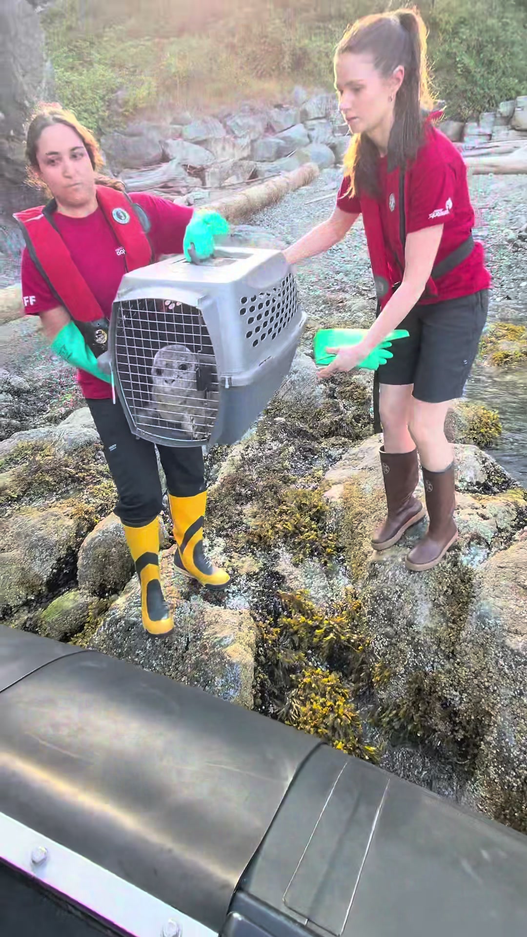 @Marine Mammal Rescue Society