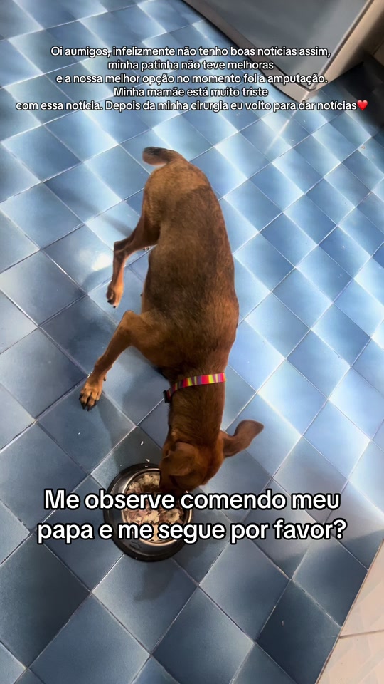 @Lua
