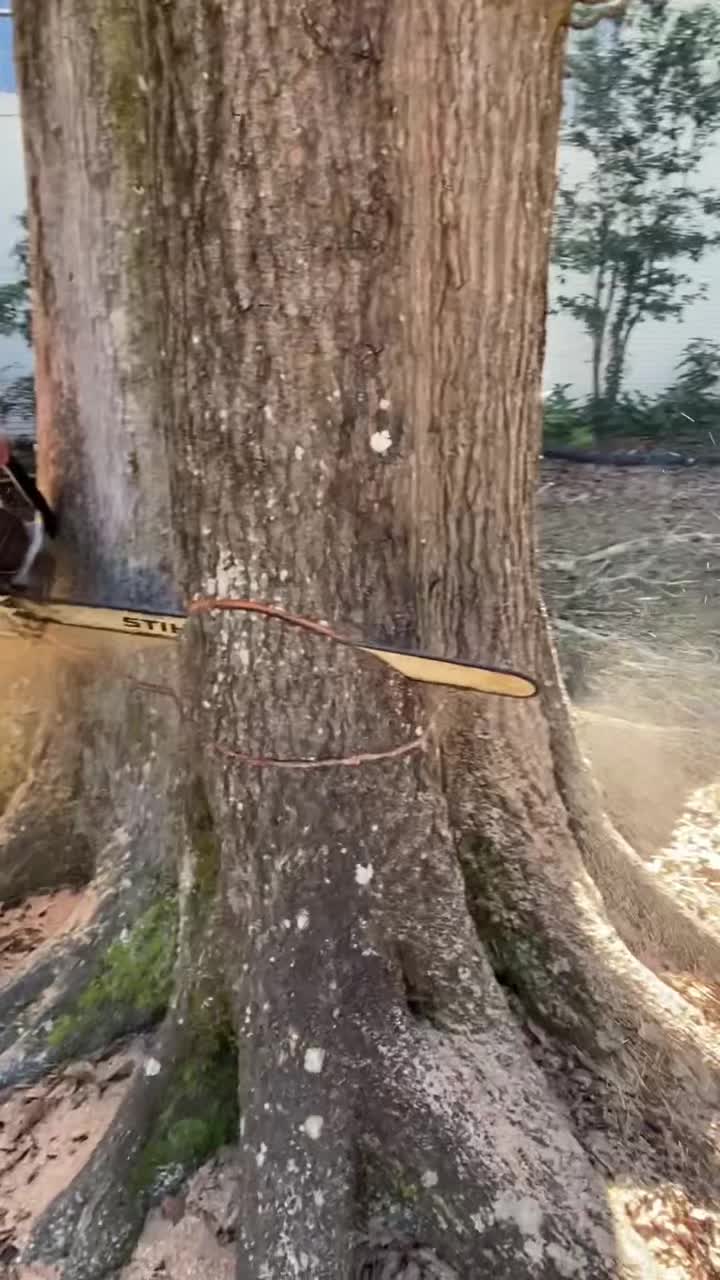 @R&G tree and landscaping