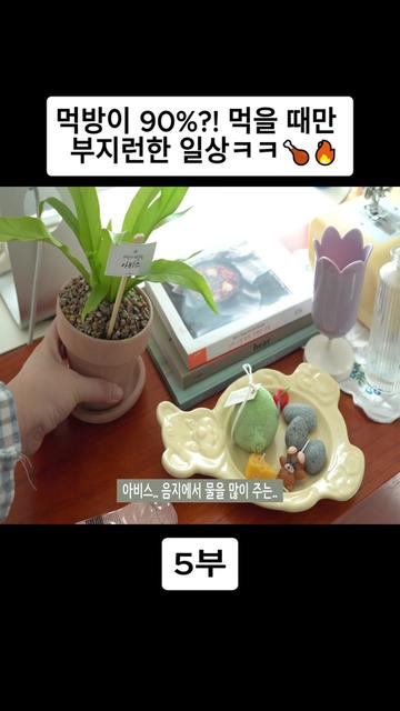 @오늘의 보라