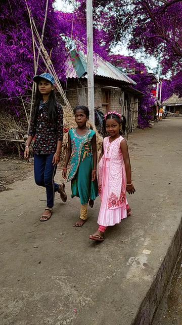 @Kanha Champia