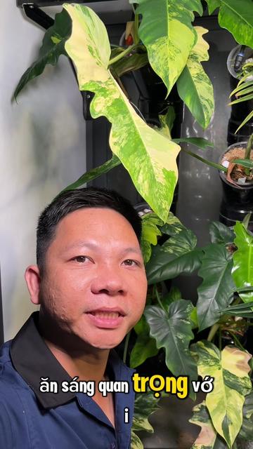 @Huy Kiểng Lá