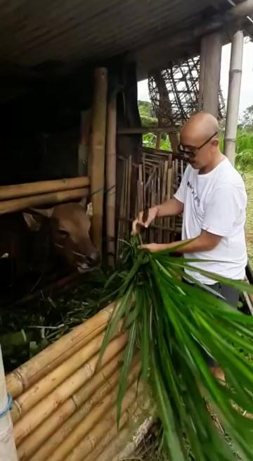 @I WAYAN DIAR